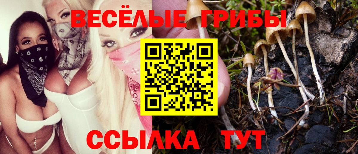 Кумертау  Псилоцибиновые грибы ЛСД  купить закладку  Вход с VPN 